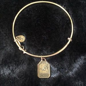Alex And Ani - Aquarius Tag